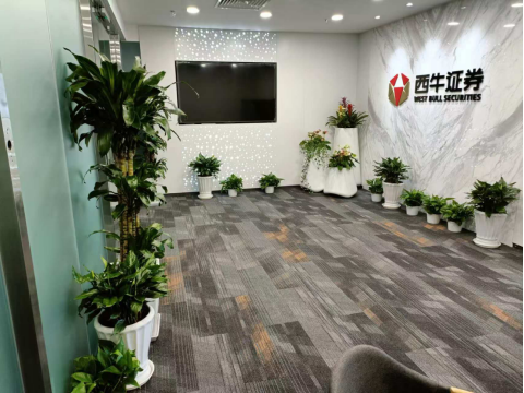 西牛证券